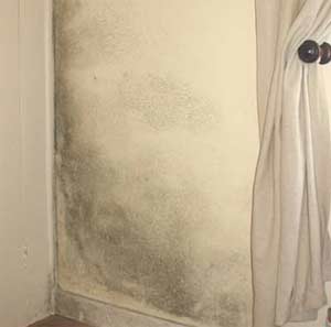 mould-on-walls